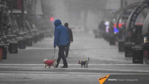 Снегопад в столице (19 января 2021). Еревaн - Sputnik Արմենիա