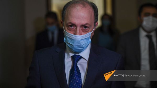 Глава МИД Армении Ара Айвазян перед началом заседания Комиссии парламента по внешним связям (14 января 2021). Еревaн - Sputnik Армения