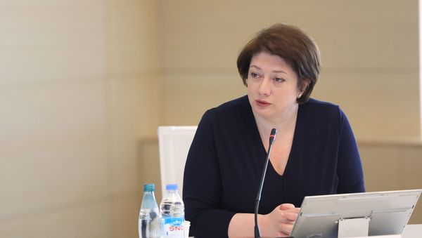 Первый вице-премьер Грузии Майя Цкитишвили - Sputnik Армения