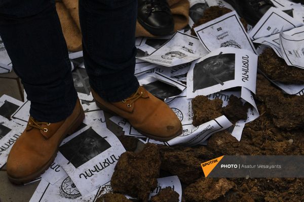 Բողոքի ակցիա խորհրդարանի դիմաց. 03.02.20 - Sputnik Արմենիա