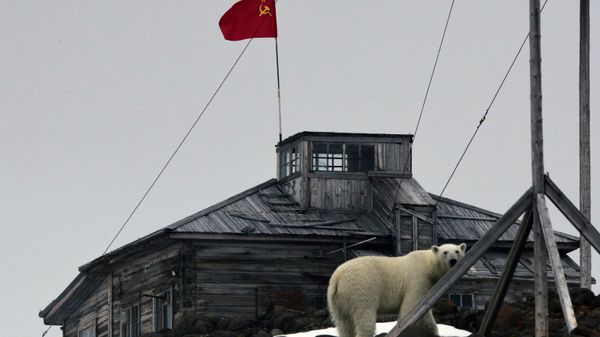 Белый медведь на территории полярной станции на берегу бухты Тихая на острове Гукера архипелага Земля Франца-Иосифа - Sputnik Армения