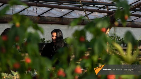 Цветочница Карине Товмасян во время беседы с корреспондентом Sputnik Армения в теплице - Sputnik Армения