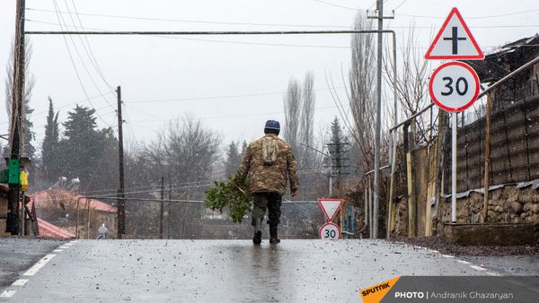 Мужчина с рассадой на отремонтированной дороге в селе Айгепар - Sputnik Армения
