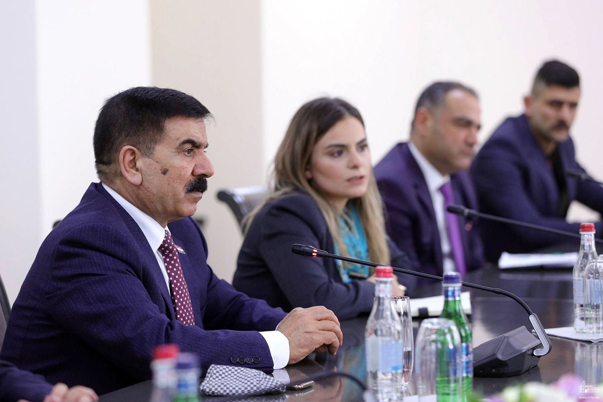 Արա Այվազյանը Իրաքի պաշտպանության նախարարի հետ քննարկել է տարածքային անվտանգության հարցեր - Sputnik Արմենիա, 1920, 25.03.2021