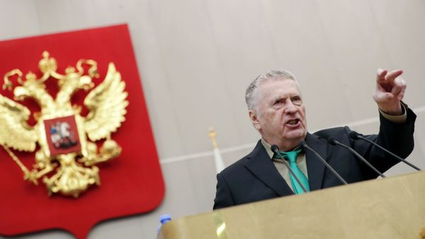 Руководитель фракции Либерально-демократическая партия России (ЛДПР) в Государственной Думе РФ Владимир Жириновский - Sputnik Армения