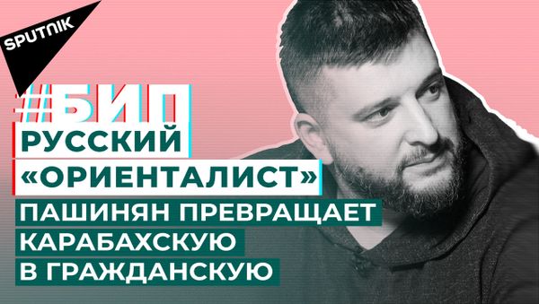 Русский ориенталист о структурах НКО в Армении, Украине и Навальном - Sputnik Армения
