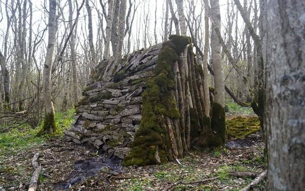 Домик в лесу, изготовленный Арутюном Акопяном Домик в лесу, изготовленный Арутюном Акопяном - Sputnik Армения