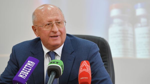 Директор института ГУ НИИ эпидемиологии и микробиологии имени Н. Ф. Гамалеи, академик РАМН, профессор Александр Гинцбург  - Sputnik Армения