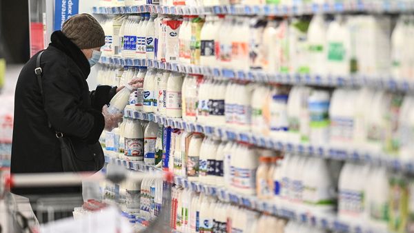 Покупатель в отделе молочных продуктов в супермаркете - Sputnik Армения