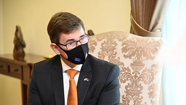 Новоназначенный посол Королевства Нидерландов в Армении Нико Схермерса на встрече с министром иностранных дел Армении (4 сентября 2020). Еревaн - Sputnik Армения