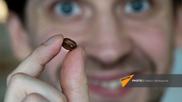 Зернышко кофе - Sputnik Արմենիա