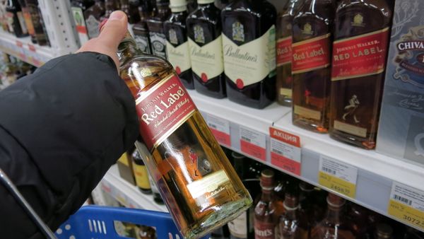 Покупатель у полок с алкогольной продукцией в одном из магазинов - Sputnik Армения
