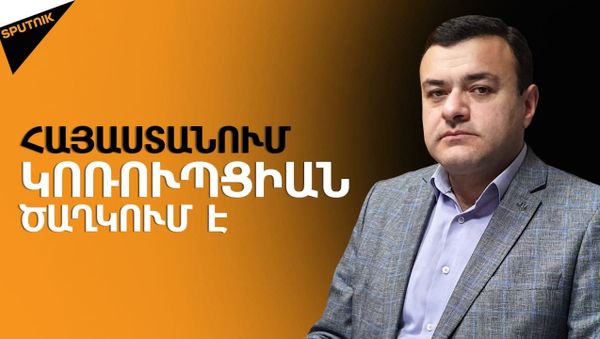 Վարոսյան. «Հակակոռուպցիոն պայքարը վերածվել է պատվերով համերգի» - Sputnik Արմենիա