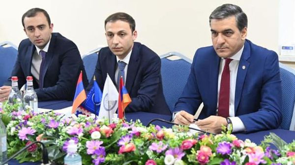 Омбудсмены Армении и Карабаха Арман Татоян и Гегам Степанян на встрече с докладчиком ПАСЕ Полом Гаваном и генеральным секретарем комитета ПАСЕ по миграции Марком Невиллом (24 мая 2021). Еревaн - Sputnik Армения
