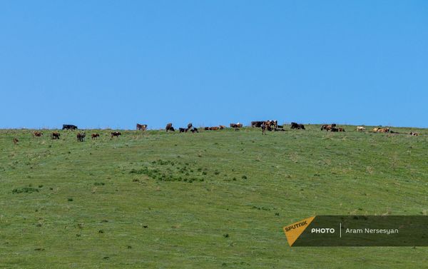 Դրախտիկի մոտակա լանջերը - Sputnik Արմենիա