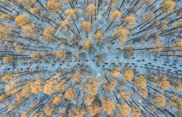 Работа китайского фотографа Chang XU  На лыжах в весну,  вошедшая в шорт-лист конкурса имени Андрея Стенина в категории Моя Планета, одиночные фотографии - Sputnik Армения