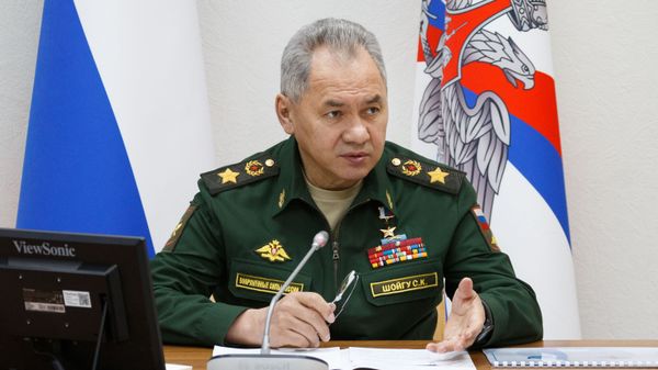Министр обороны РФ Сергей Шойгу - Sputnik Армения