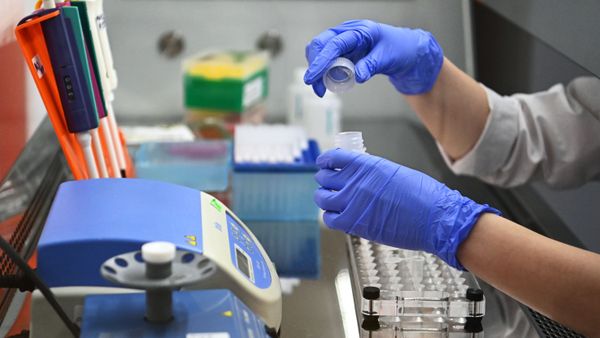 В России разработан первый тест на выявление британского штамма COVID-19 - Sputnik Армения