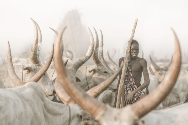 Снимок The Mundari Cattle Herder швейцарского фотографа Josef Bürgi, победивший в категории Environmental Portrait в конкурсе 2021 The International Portrait Photographer of the Year - Sputnik Армения