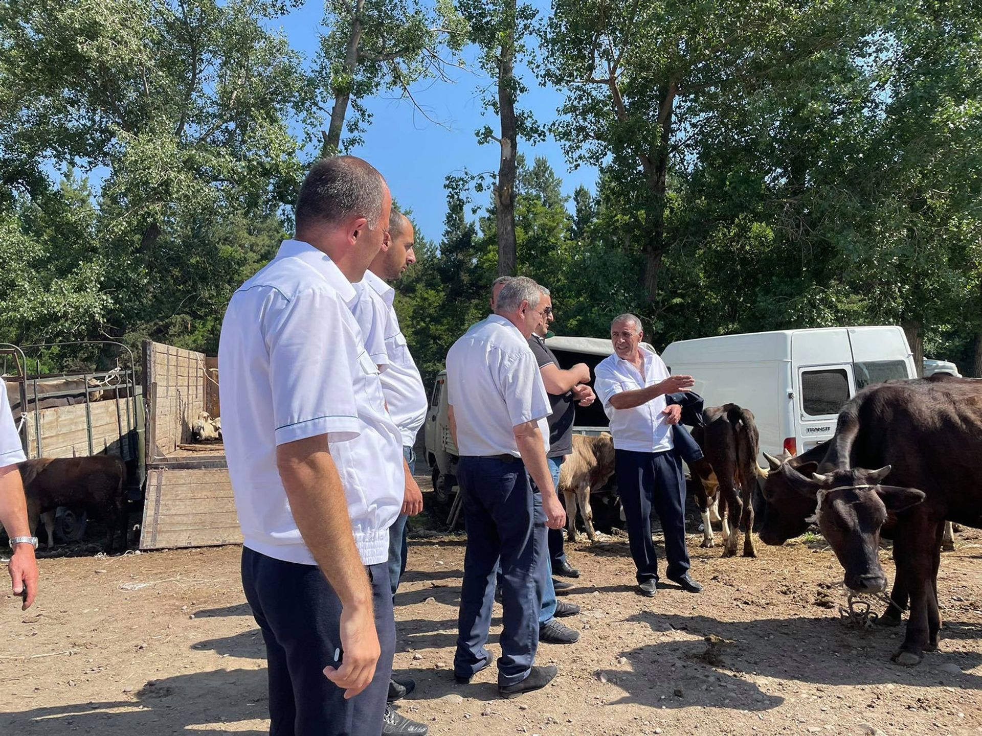 Կենդանիների մոտ սիբիրյան խոցի նոր դեպքեր չկան. ՀՀ ամենամեծ անասնաշուկան վերահսկվում է - Sputnik Արմենիա, 1920, 04.07.2021