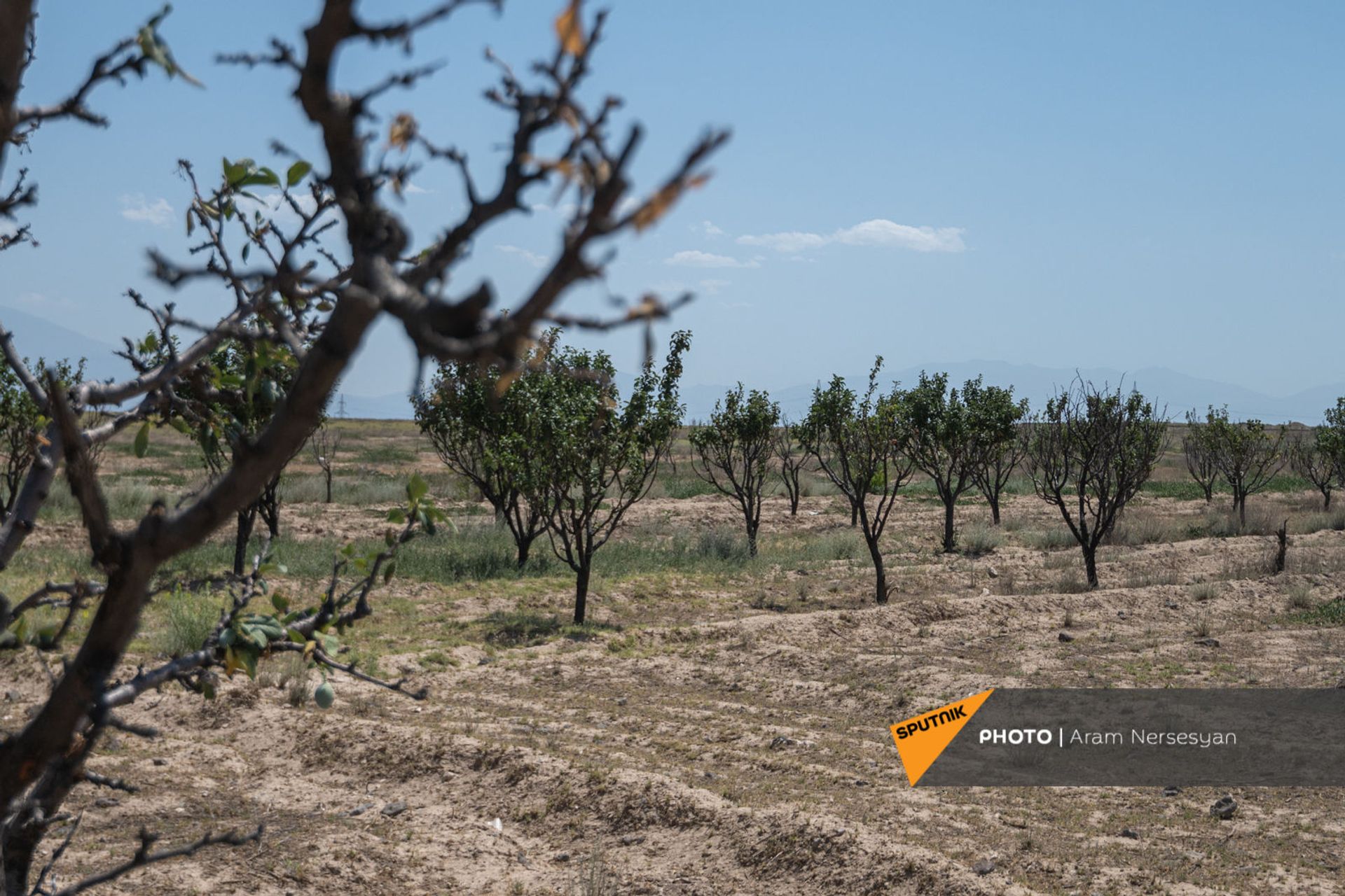 «Փաշինյանը պիտի լուծի էս հարցը». գյուղացին ահազանգում է` գետերը դատարկ են «Փաշինյանը պիտի լուծի էս հարցը». գյուղացին ահազանգում է` գետերը դատարկ են - Sputnik Արմենիա, 1920, 08.07.2021