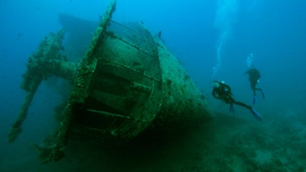 Море, дайверы - Sputnik Армения