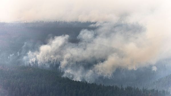 Лесной пожар в Якутии - Sputnik Армения