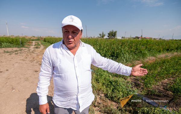  «Նորատունկ» ՓԲԸ հիմնադիր–սեփականատեր Հովհաննես Հովհաննիսյան - Sputnik Արմենիա