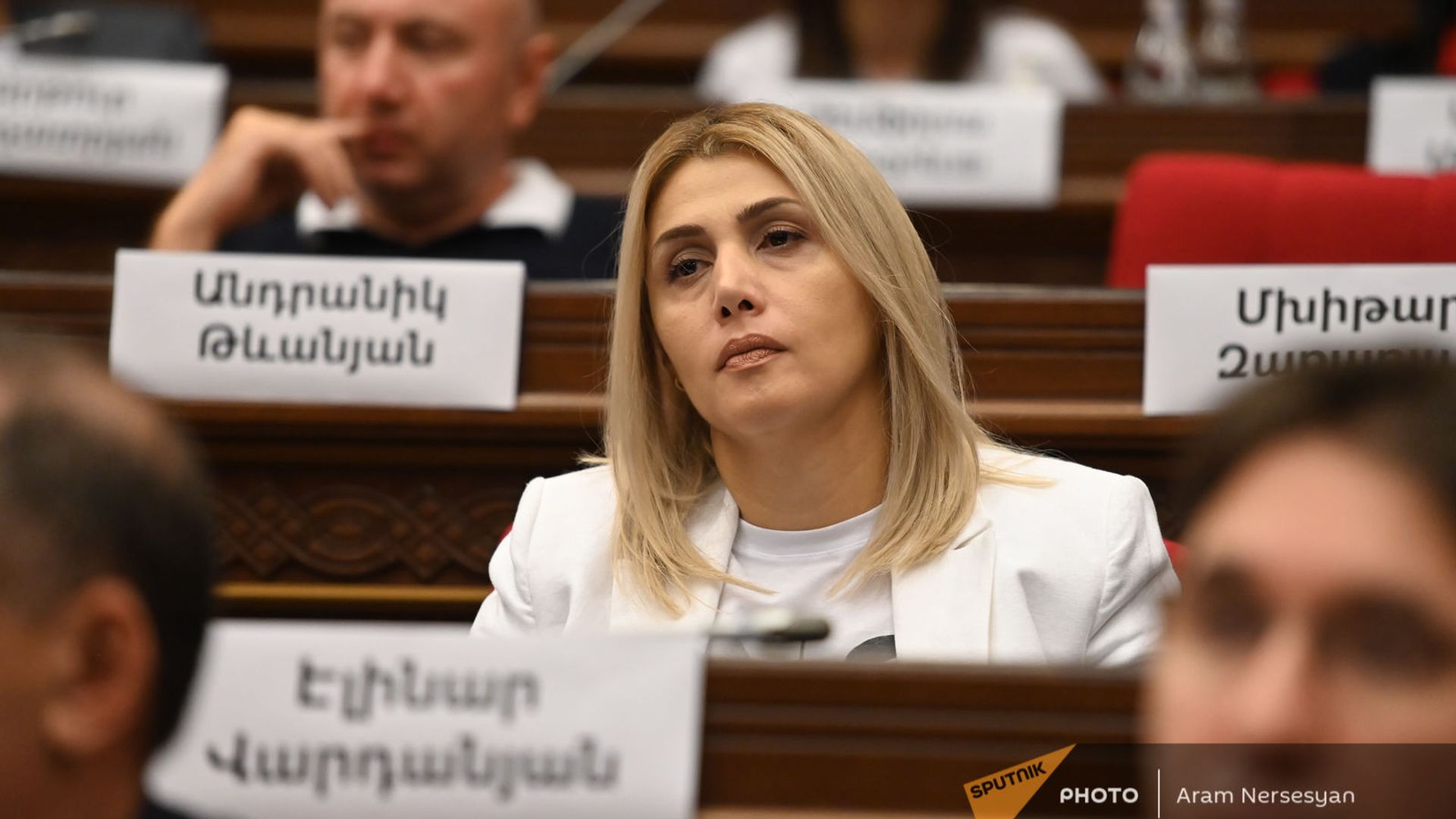 Էլինար Վարդանյանը Էլինար Վարդանյանը - Sputnik Արմենիա, 1920, 19.06.2025