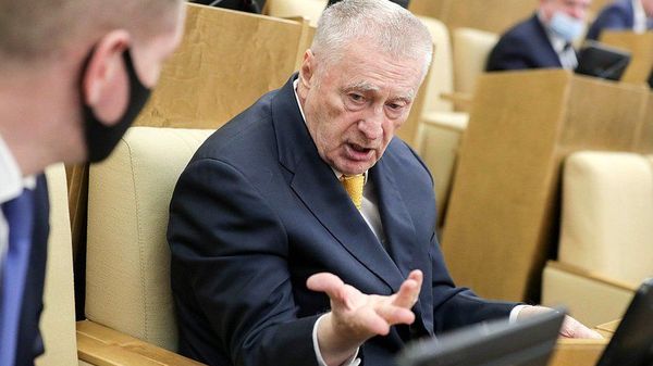 Руководитель фракции ЛДПР Владимир Жириновский на пленарном заседании Государственной Думы РФ. - Sputnik Армения
