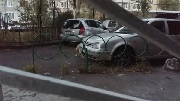 Կոշմար գիշերից հետո - Sputnik Արմենիա