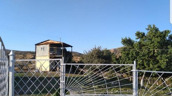 Полицейские Арташата обнаружили наркотики - Sputnik Արմենիա