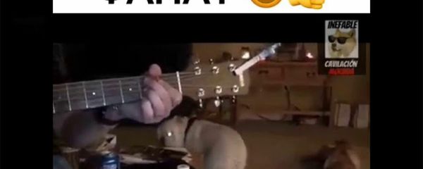 Дог, который любит рок - Sputnik Армения