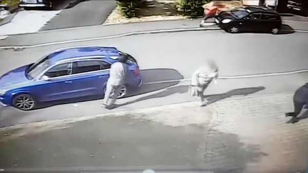  видео о храброй британской старушке взорвало Сеть - Sputnik Армения