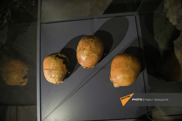 Найденные черепа в пещере Арени-1 Найденные черепа в пещере Арени-1 - Sputnik Армения