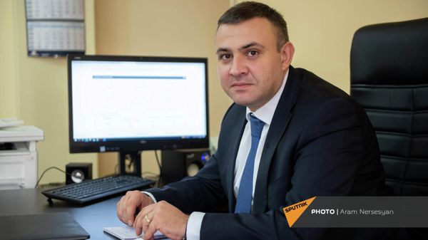 Замминистра экономики Варос Симонян - Sputnik Армения