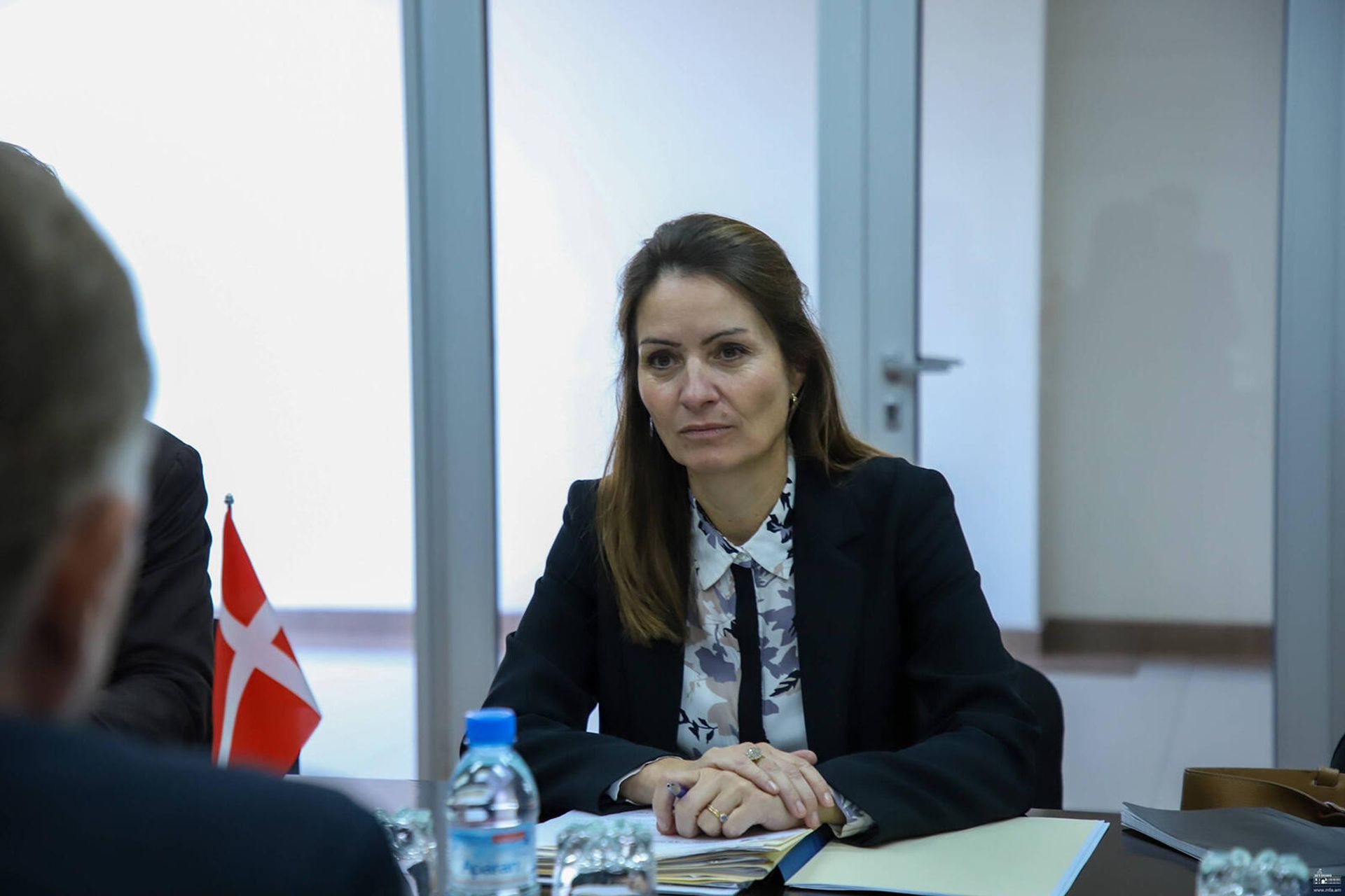 Հայաստան-Դանիա քաղաքական խորհրդակցություններ - Sputnik Արմենիա, 1920, 11.10.2021