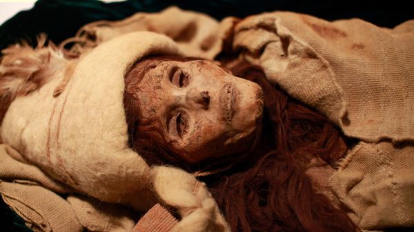 Мумия возрастом 3800 лет, обнаруженной в бассейне Тарима на дальнем западе Китая, показана на выставке Секреты Шелкового пути: загадочные мумии из Китая (24 марта 2010). Санта-Ана - Sputnik Армения