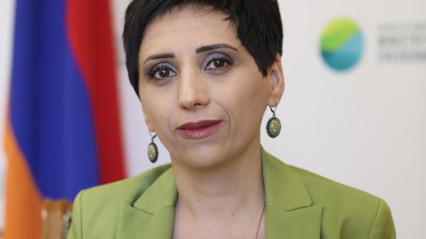 2022 թ-ից պլաստիկե տոպրակների շրջանառությունը կդադարեցվի. ի՞նչ են առաջարկել տնտեսվարողներին - Sputnik Արմենիա