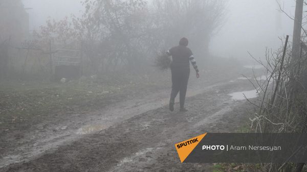 Жительница села Бардзаван - Sputnik Армения