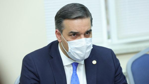 Омбудсмен Арман Татоян встретился с руководителем армянского офиса ЮНИСЕФ Кристин Вайганд (18 ноября 2021). Еревaн - Sputnik Армения