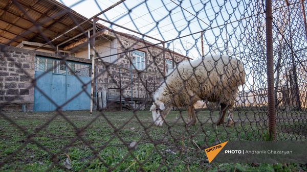Արխիվային լուսանկար - Sputnik Արմենիա