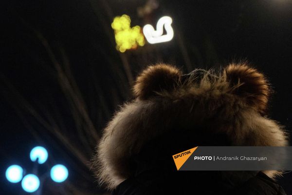 Ребенок в шапке с ушками смотрит на появление Деда Мороза во время красочного шоу перед открытием катка в Зимнем парке - Sputnik Армения