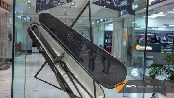 Ջութակի պատյան - Sputnik Արմենիա