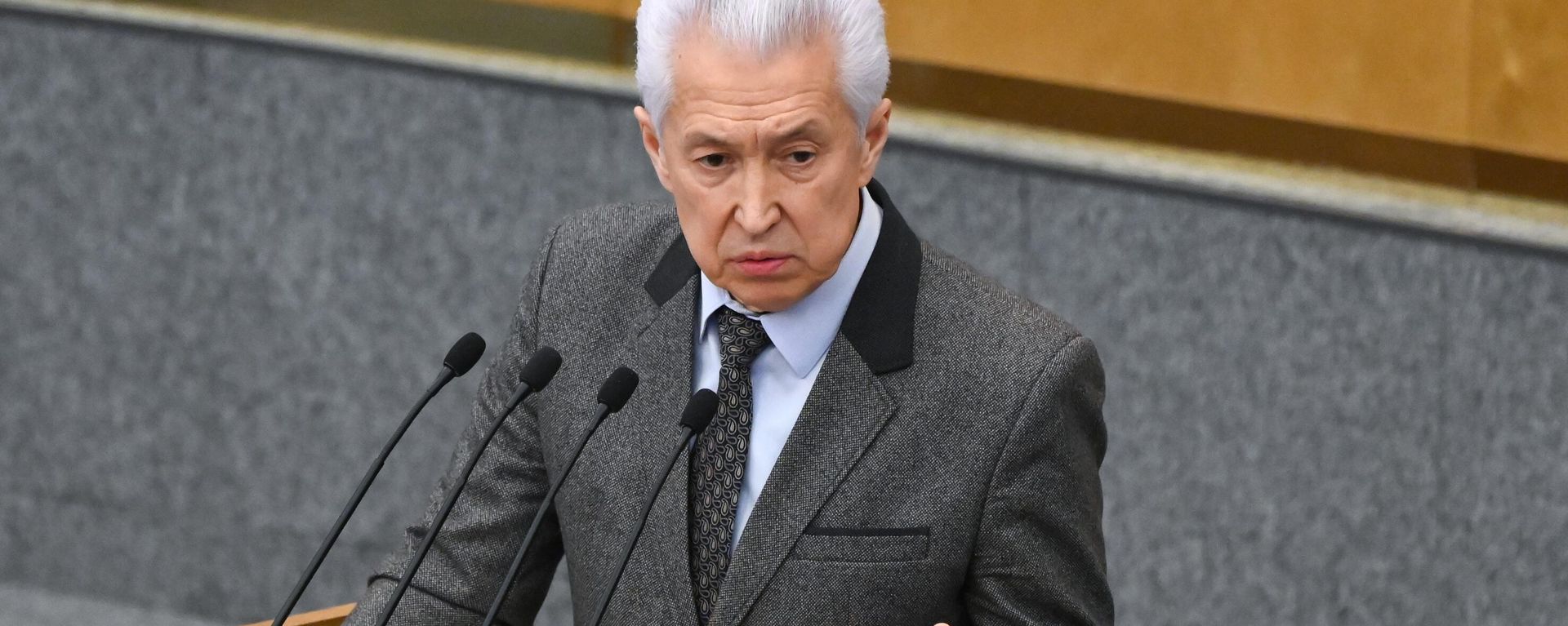 Руководитель фракции Единая Россия в Госдуме Владимир Васильев выступает на заключительном пленарном заседании (22 декабря 2021). Москвa - Sputnik Армения, 1920, 06.01.2022