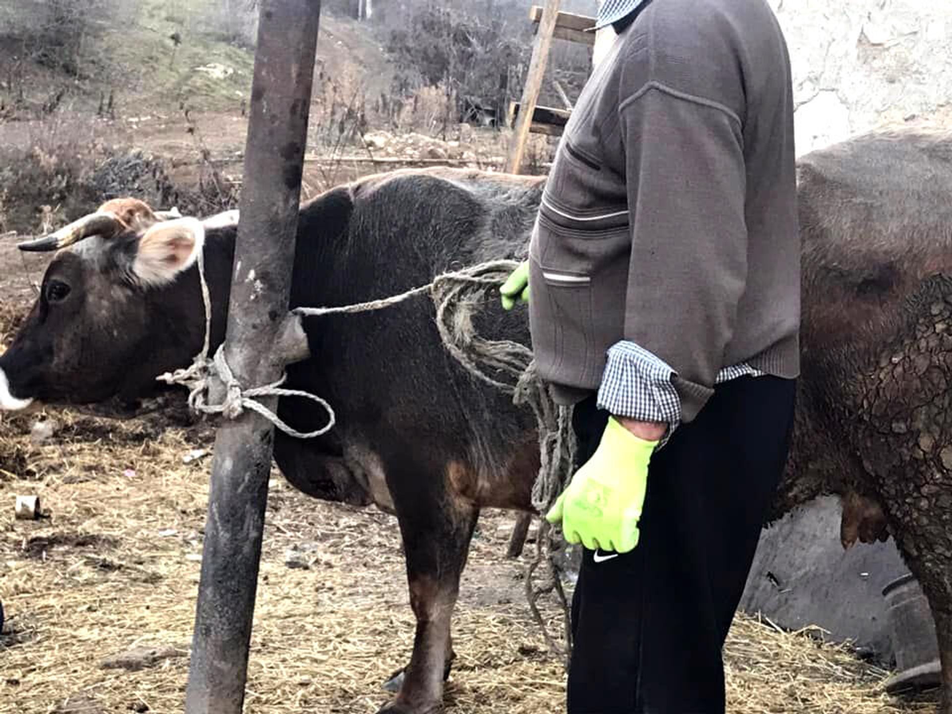 Омбудсмен Карабаха опубликовал фотографии последствий обстрела азербайджанскими ВС населенных пунктов в Мартунинском районе (10 января 2022). Карабах - Sputnik Армения, 1920, 10.01.2022