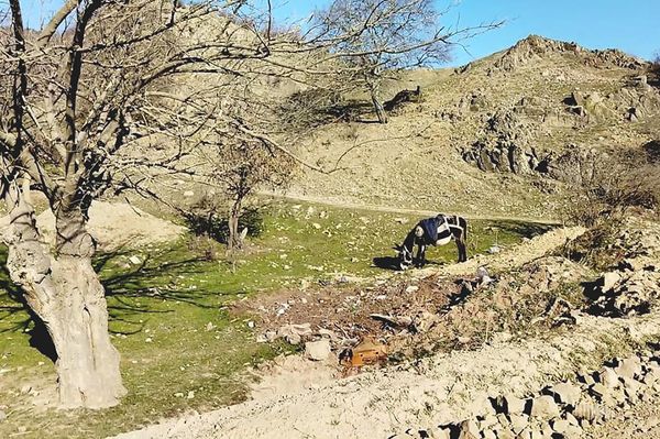 Ճանկաթաղ - Sputnik Արմենիա