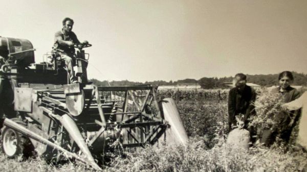 Архивная фотография Гюмрийской селекционной станции - Sputnik Армения