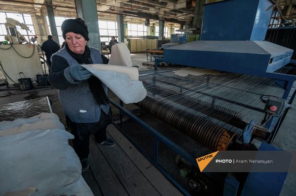 Полуфабрикат готовой кожи (wet blue) Ереванского кожевенного завода - Sputnik Армения