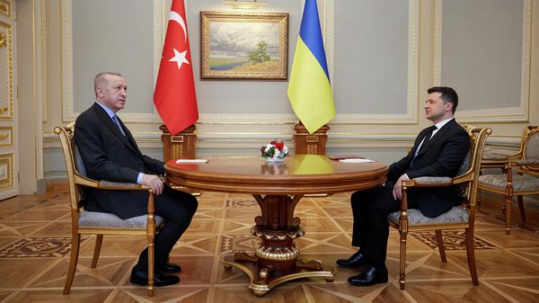 Президенты Украины и Турции Владимир Зеленский и Реджеп Тайип Эрдоган во время встречи (3 февраля 2022). Киев - Sputnik Армения
